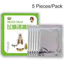 It is its simplicity and low price which have made this product very. Pantry Moth Traps W Pre Baited Pheromone Attractant For Kitchen Food Storage Eur 14 00 Picclick De