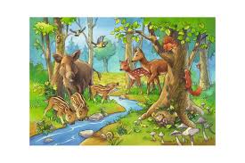 Imagini cu animale salbatice de colorat fise de lucru. Puzzle Ravensburger Animale Padure 2x24 Piese 09117 We Puzzle