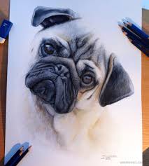 Choose from over a million free vectors, clipart graphics, vector art images, design templates, and illustrations created by artists worldwide! 25 Beautiful And Realistic Animal Drawings Around The World
