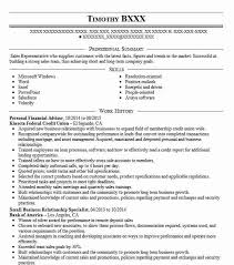 , private equity business development. Best Personal Financial Advisor Resume Example Livecareer