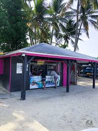 Top 3 Des Choses A Faire Sur Sous L Eau En Guadeloupe Geek Touristique Guadeloupe Partir En Guadeloupe Vacances Guadeloupe