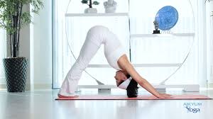 Pin On All About Yoga For Bipolar Disorder