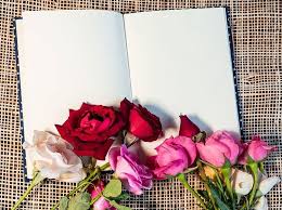 فوتوغرامي on instagram الكتاب صديق لا يخون رمزيات رمزيات دينية رمزيات إسلامية صور تصاميم تصميم فوتو ورد مصاحف قرآن empty notebook rose stock photos