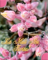 Îți mulțumesc pentru toți anii în care ai fost primul gând dimineața și ultimul seara, iar fiecare an mai frumos ca cel care a trecut. La Multi Ani Florina Pink Pages Rose Pretty In Pink