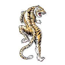 Grey tiger tattoo design on chest. Asian Tiger Temporary Tattoos For Kids Tattootatu