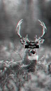 Maybe you would like to learn more about one of these? Hd Sigh Wallpapers Peakpx