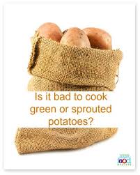 Is It Bad To Cook Green Or Sprouted Potatoes The Homemade Baby Food Recipes Blog Potatoes are as durable as they are versatile. bad to cook green or sprouted potatoes