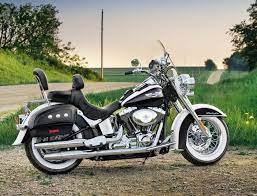 Pin By El Paine On Wheels Harley Davidson Motorcycles Harley Davidson Bikes Harley Davidson