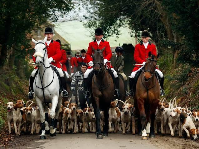 Government publishes amendment to fox hunting act ahead of free vote | Hunting | The Guardian