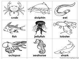 Ocean Animals Coloring Pages Animal Coloring Pages Ocean Animals For Kids Animal Coloring Books