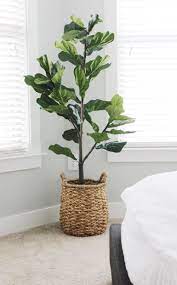 faux fiddle leaf tree fake plants decor plant indoor living room pots on the wall