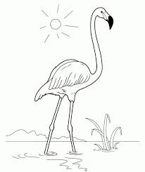 Malvorlage Flamingo Basteln Basteln Flamingo Malvorlage Ausmalbilder Mandala Ausmalbilder Basteln Flam Ausmalbilder Ausmalen Ausmalbilder Tiere