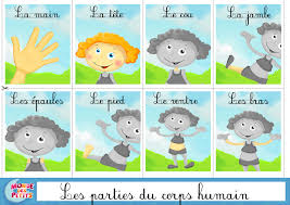 Monde Des Petits Apprendre En Video Parties Du Corps Humain Pictogramme Enfant Corps
