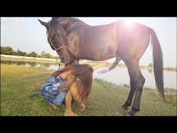 Horse Care Basic Horse Training By Village Girl Youtube Horse Care Horses Village Girl