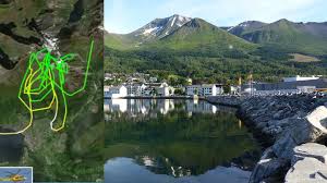 Les om arbeidsgivere og jobbmuligheter i fylket. Finner Ikke Kvinne I Orsta