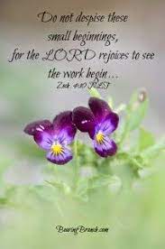 Maybe you would like to learn more about one of these? Flowers Scriptures