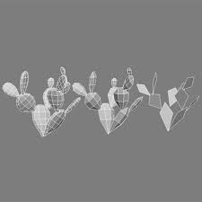 Named for the shape of its pads. Low Poly Cactus Beaver Tail 3d Model 6 Obj Max 3ds Free3d
