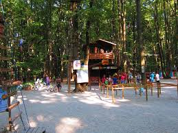 Fiind cel mai mare si cel mai sigur parc de aventura din romania, edenland park ofera, de mai bine de 8 ani, o varietate larga de activitati in aer liber, atat. Edenland Park Picture Of Edenland Park Balotesti Tripadvisor