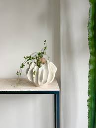 Image result for Momordica boivinii