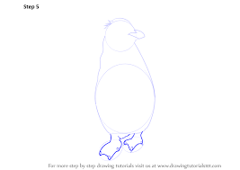 Learn How To Draw A Rockhopper Penguin (Antarctic Animals) Step By Step :  Drawing Tutorials