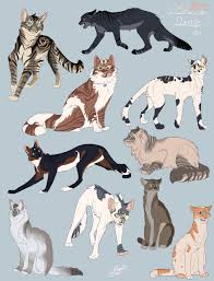 Warrior Cat Drawing Ideas At Paintingvalley Com Explore Collection Of Warrior Cat Drawing Ideas Kitescratch kite skyclan skc warriors warriorcats. warrior cat drawing ideas at