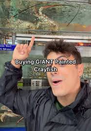 Pei Lobster Fishing 2025