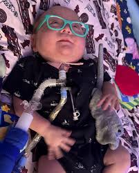 Fundraiser by Amanda DAngelo : Help Bentley's Family with Medical Expenses