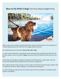 There is also a wide variety of dog training techniques, styles, schools, and online courses. How To Fly With A Dog Get Your Basics Right First By Myesadoctor Issuu