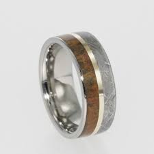 Dinosaur Bone Meteorite Men S Wedding Band With Gold Pinstripe Dinosaur Bone Ring Meteorite Ring Meteorite Wedding Rings