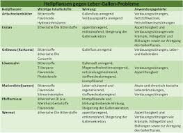 Lebererkrankungen
