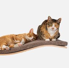 This easy mount scratcher is infused with catnip to instantly attract your cat! Conquer The Walls Wall Mounted Cat Shelves The Cat Design