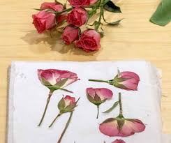 Born august 3, 1941) is an american retail businesswoman, writer, and television personality. 40 Stunning Pressed Flower Art Ideas Cool Crafts