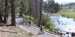 We did not find results for: Truckee River Legacy Trail Trails Paved Paths Access Winter Trailheads Backcountry Locations Galleries Classes Public Art Historical Sites Museums