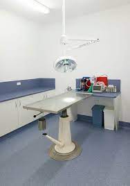 Ghoul Berbahaya Itu Ada Di Sekitar Kita Fiksipenggemar Fiksi Penggemar Amreading Books Wattpad Veterinary Clinic Hospital Design Hospital Interior