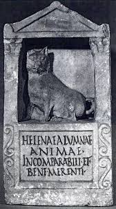 The Melitan Miniature Dog The Most Popular Lapdog In Antiquity Found In Antiquity Roman Art Funerary Art Ancient Rome