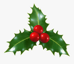Mistletoe Clipart Transparent Free Transparent Clipart Clipartkey Pngtree offers over 18 mistletoe png and vector images, as well as transparant background mistletoe clipart images and psd files.download the free view our latest collection of free mistletoe png images with transparant background, which you can use in your poster, flyer design, or presentation. mistletoe clipart transparent free