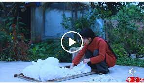 中国是世界上最早发明养蚕缫丝的国家 而丝绸也是东方古老文化的象征 从小我们家里都有养蚕 看着快要过冬了 把这季晚秋蚕的双宫茧拿来做床被子 给奶奶过冬 diy makeup diy natural beauty hacks natural beauty diy