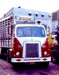 Image result for White 1964 Fleet