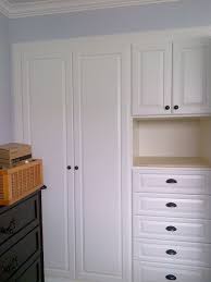 Media room in naval blue. Built In Bedroom Wardrobe Cabinets American Traditional Wardrobe Los Angeles By Closet Solutions Houzz