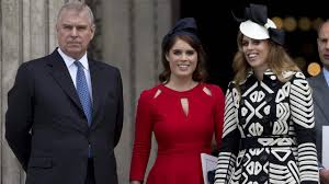 Epstein's activities because the two had spent only a few days at a time together. The Queen Prince Andrew Ghislaine Maxwell Trial Updates Royal News