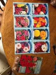 So much so, that herbs have taken a back burner to our more popular vegetable and flower garden varieties. First Day Of Spring Here In Arizona I Decided To Stop By Dollar Tree And Pick Up Some Flower Seeds And Bulbs I M Not Sure Just How Great The Germination Rates Are