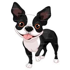 Black And White Boston Terrier Cartoon Clipart Boston Terrier Dog Royalty Free Vector Design Boston Terrier Dog Boston Terrier Art Boston Terrier Illustration
