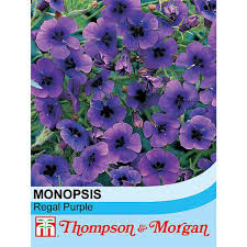 Image result for Monopsis