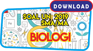 Contoh soal akm sma ini sudah sesuai dengan materi yang dicontohkan oleh kemendikbud. Download Soal Un Biologi 2019 Dinginaja