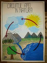 Numele meu este rex şi împreună cu prietenul meu, bobiţă, vă voi descrie călătoria minunată a picăturii de apă. Circuitul Apei In NaturÄƒ Art Activities For Toddlers English Worksheets For Kids Art Activities