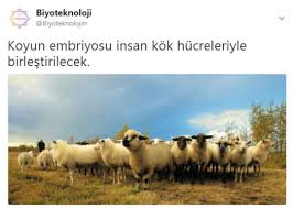 Pin By B I Y O T E K N O L O J I On Instagram Instagram