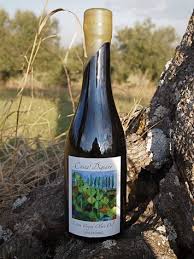 The Rare Le Marche Mignola Olive Oil Costa Digiano Cingoli Le Marche And Food Best Healthy Recipe Books Italy Olive Oil