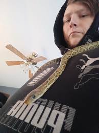 Corn Snakes and Reptile Humor