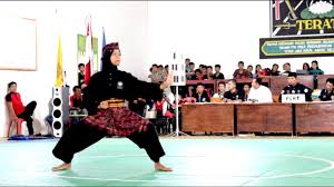 Check spelling or type a new query. Seni Tunggal Ipsi Fasrclassic