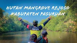 Dari analisis ini akan diperoleh tinggi tampungan. Gowes Sehat Bersama Ibu Bupati Pasuruan Explore Wisata Mangrove Pateguran Rejoso Kab Pasuruan Youtube